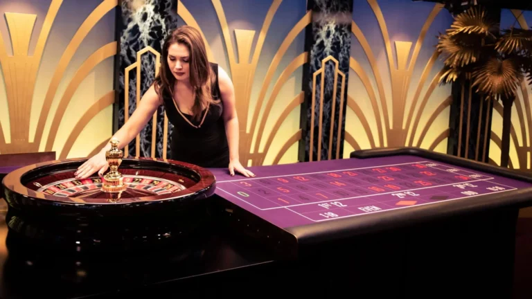 Provider Live Casino