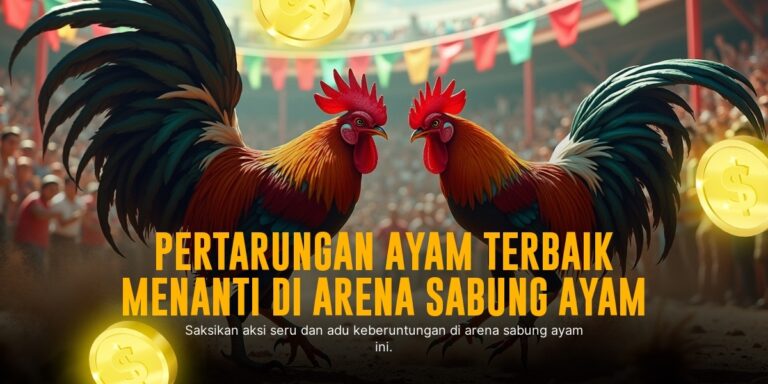 Kenali Kelebihan Ayam Bangkok Sebagai Raja Sabung Ayam