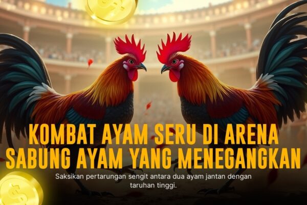 Menjelajahi Kehebatan Ayam Bangkok di Arena Sabung Ayam SV388